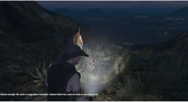 Grand Theft Auto V Screenshot 2024.08.09 - 22.432.42.79.png