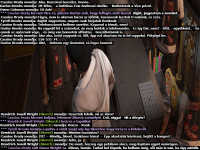 ss 8.png