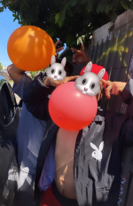pbs fn 3.png