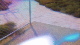 trevlecsuk2.gif