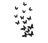 littlebutterfly.png-removebg-preview.png