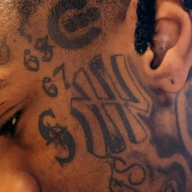 Professional Belt Layer