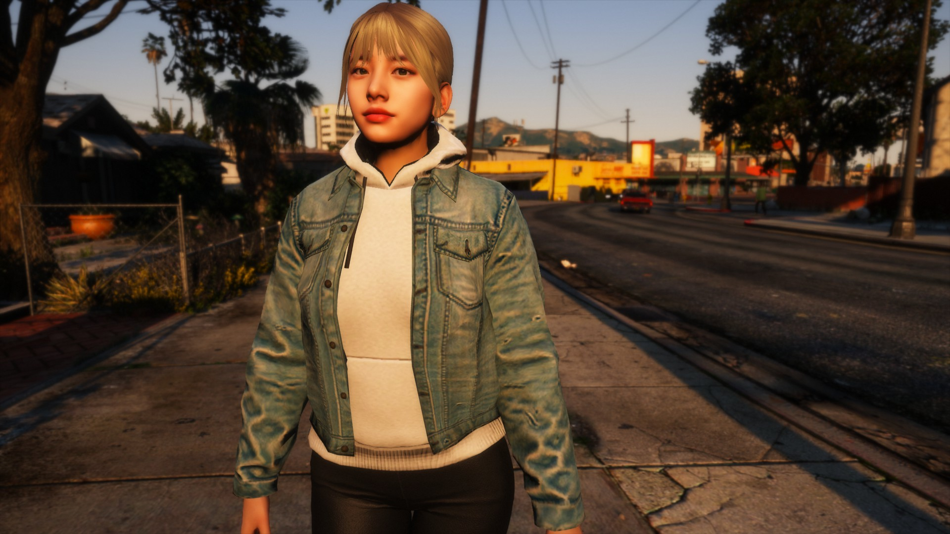 05ae46-Denim.png