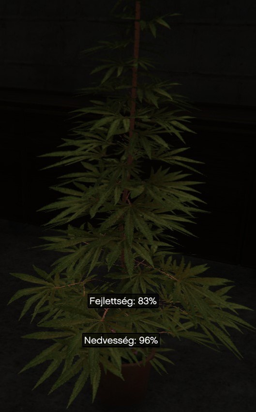 bfMj7Ri.jpeg